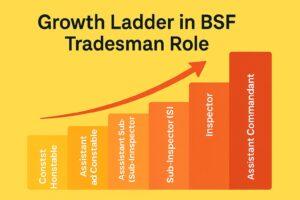 BSF Constable Salary