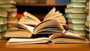 Bihar Jeeika Syllabus 2025