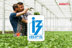 IBPS AFO Admit Card 2025