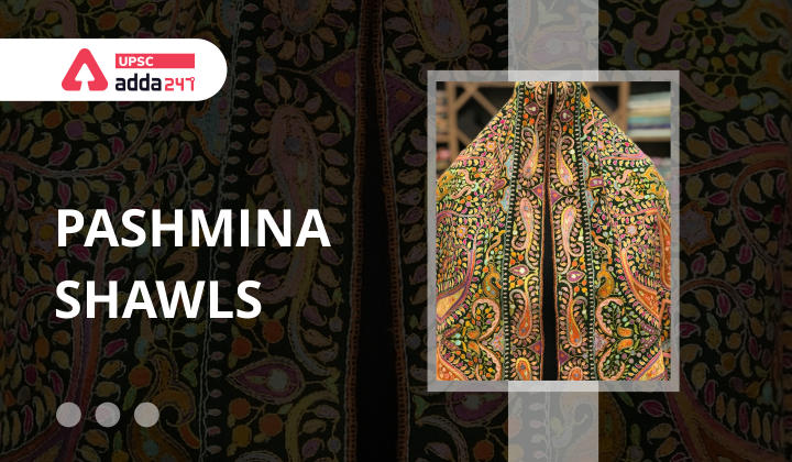 Pashmina Shawl UPSC