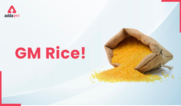 GM Rice!_30.1