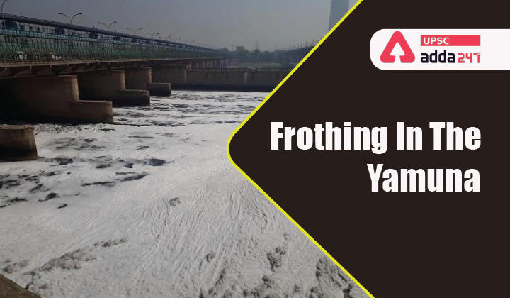 Frothing in the Yamuna_30.1