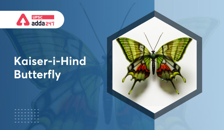 Kaiser-i-Hind Butterfly UPSC