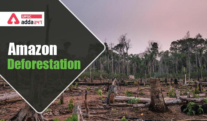 Amazon Rainforest Deforestation: The Story so far_30.1