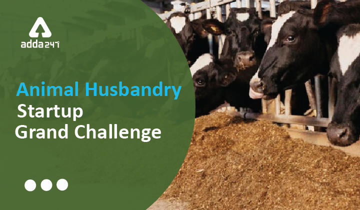 Animal Husbandry Startup Grand Challenge 2.0