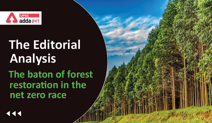The Editorial Analysis: The baton of forest restoration in the net zero race_30.1