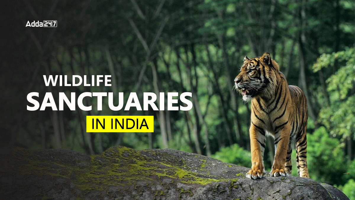 Wildlife sanctuaries in India