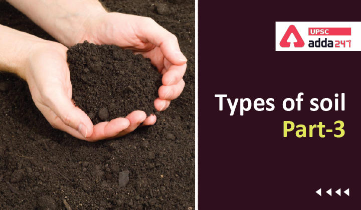 Types of Soil in India