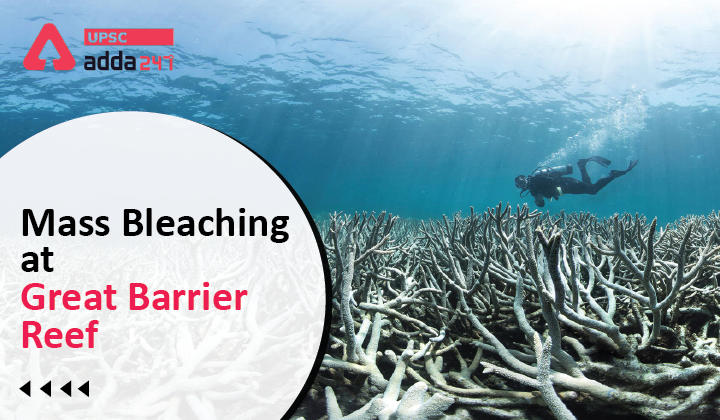 Mass Bleaching at Great Barrier Reef