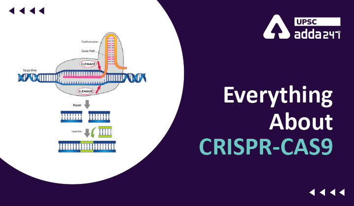 Everything About CRISPR-CAS9