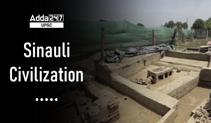 Sinauli Civilization