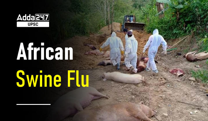 African Swine Flu