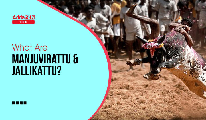 What Are Manjuvirattu And Jallikattu?