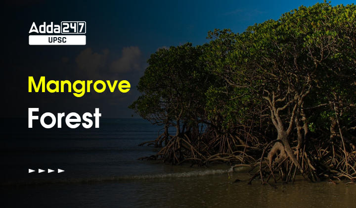 mangrove forests