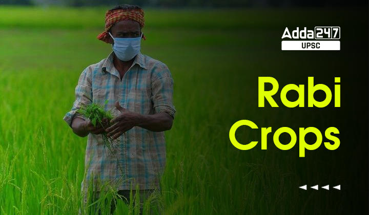 Rabi Crops