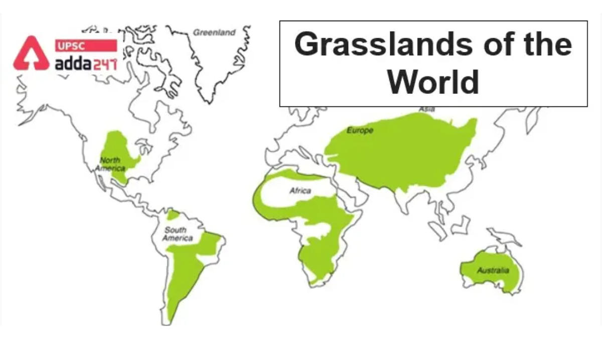 Grasslands of the World