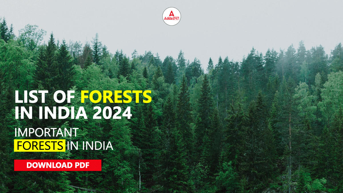List of Forests in India 2024