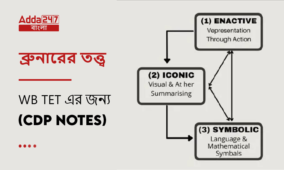 ব্রুনারের তত্ত্ব