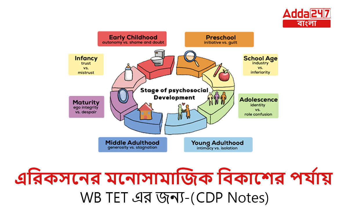 এরিকসনের মনোসামাজিক বিকাশের পর্যায়, WB TET এর জন্য-(CDP Notes)