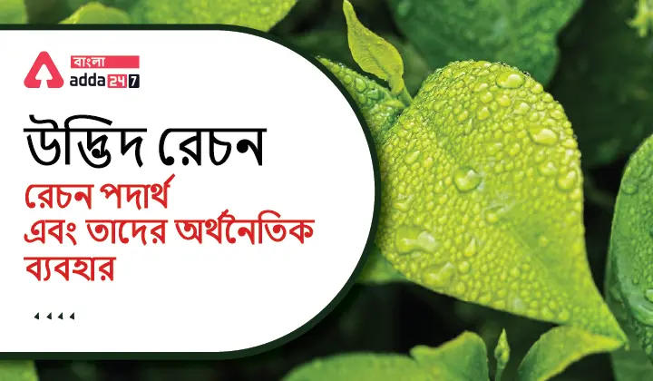 উদ্ভিদ রেচন