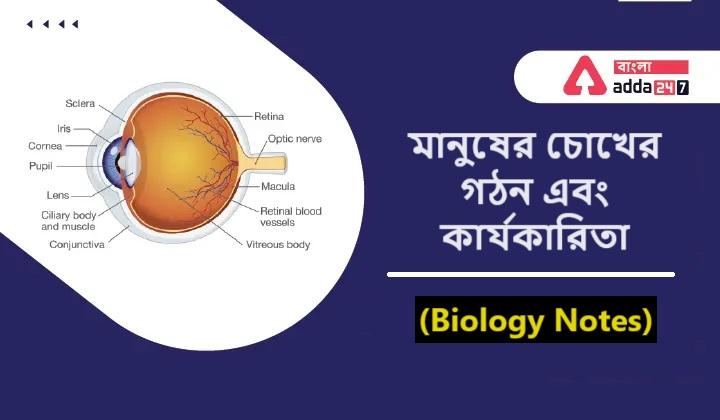 মানুষের চোখের গঠন এবং কার্যকারিতা- (Biology Notes)