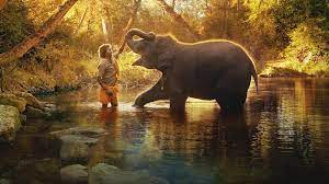 The Elephant Whisperer