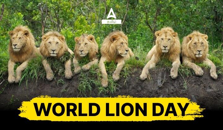 World Lion Day 2023