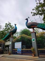 List of National Parks And Wildlife Sanctuaries in Telangana_8.1