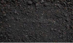 Black soil