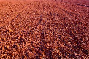 Laterite soil