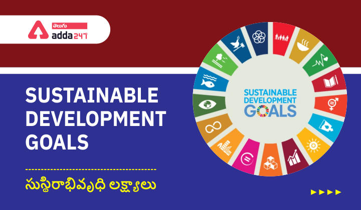 Sustainable Development Goals Report 2021 PDF |_30.1