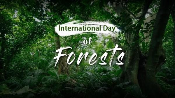 21st March observed as International Day of Forests |అంతర్జాతీయ అటవీ దినోత్సవం |_30.1