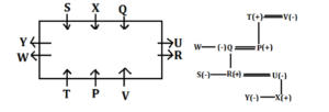 Reasoning MCQs Questions And Answers in Telugu 05 August 2022, For All IBPS Exams_4.1