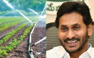 AP_Micro_Irrigation