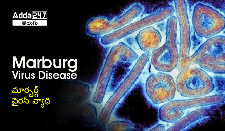 Marburg Virus Disease