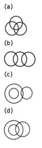 Reasoning MCQs Questions And Answers In Telugu 04 March 2023_4.1