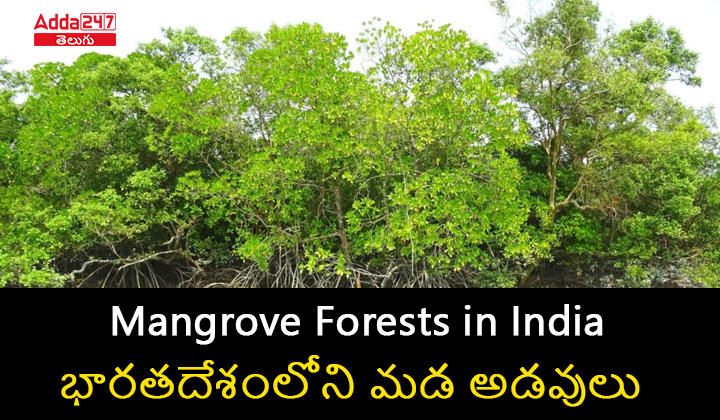 Mangrove Forests in India