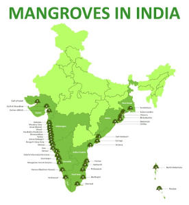 Geography Study Material- భారతదేశంలోని మడ అడవులు, లక్షణాలు, ప్రాముఖ్యత, డౌన్లోడ్ PDF_4.1