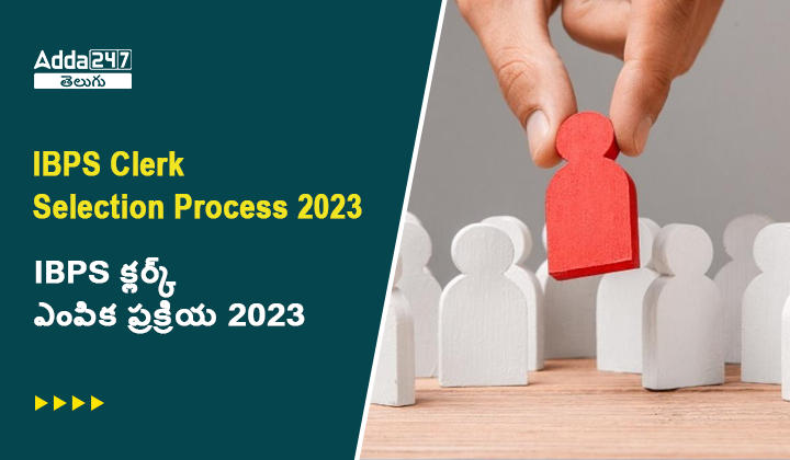 IBPS Clerk Selection Process 2023