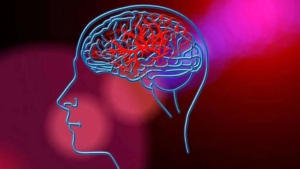 brain_c_1540817122_618x347-1280x720-1