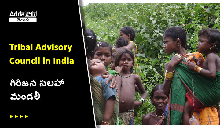 గిరిజన సలహా మండలి - విధులు మరియు రాజ్యాంగ చట్టాలు