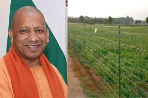 Mukhya Mantri Khet Suraksha Yojana to be implemented in Uttar Pradesh