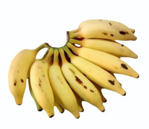 Granting of Geographical Indication (GI) Tag to Matti Banana Variety of Kanniyakumari District