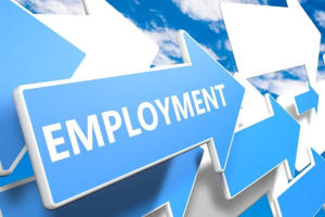 Increasing Regular Jobs but Lingering Unemployment Concerns: Report 