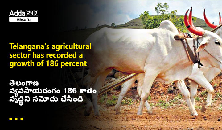 తెలంగాణ వ్యవసాయరంగం 186 శాతం వృద్ధిని నమోదు చేసింది