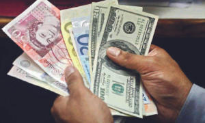 Foreign Exchange Reserves Soar to 20-Month High, Reaching $616 Billion
