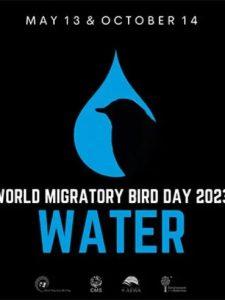 World Migratory Bird Day 2023 celebrates on May 13