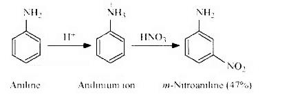 Class 12 Chemistry Answer Key 2024 Out, For Set 1, 2, 3 -_24.1