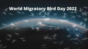 World Migratory Bird Day