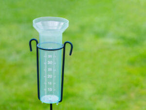 Rain Gauge Image